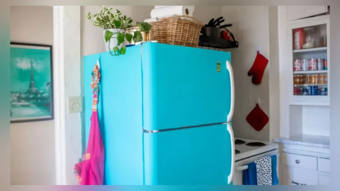 Vastu Tips: ये पांच चीजें फ्रिज के ऊपर नहीं रखनी चाहिए, घर में विवाद और तनाव को बढ़ा सकते हैं