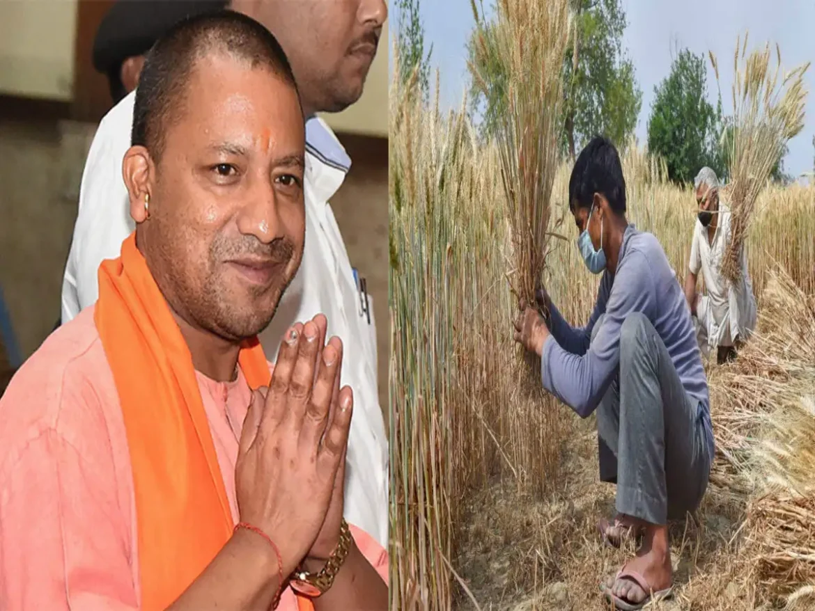 UP News: योगी सरकार ने किसानों के लिए किया बड़ा ऐलान, इजरायली तकनीक से उनकी आय होगी दोगुनी