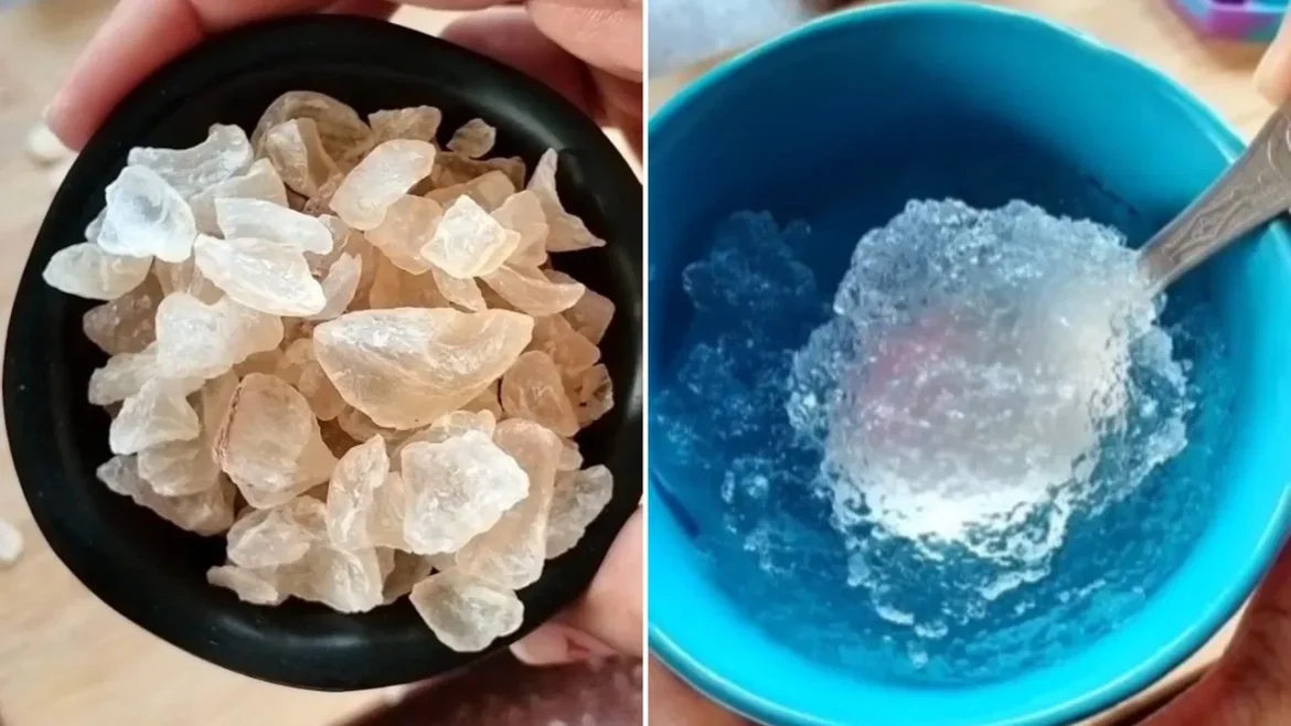 Mistakes While Eating Gond Katira: एक दिन में गोंद कतीरा कितनी मात्रा में खाना चाहिए, जानिए  इसकी सही मात्रा फायदे और आम गलतियां