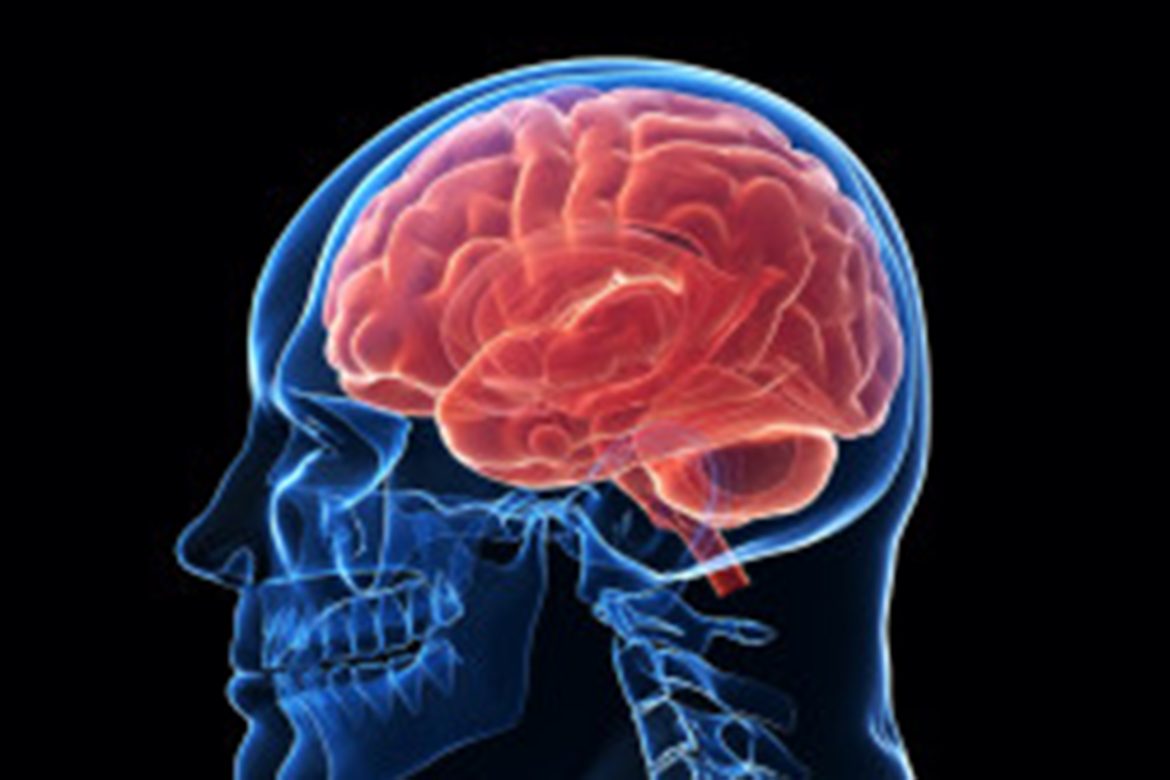 Obesity and Brain Health: क्या मोटापा दिमाग को थका देता है? मन और ओबिसिटी के संबंधों को जानकर होश उड़ जाएंगे।