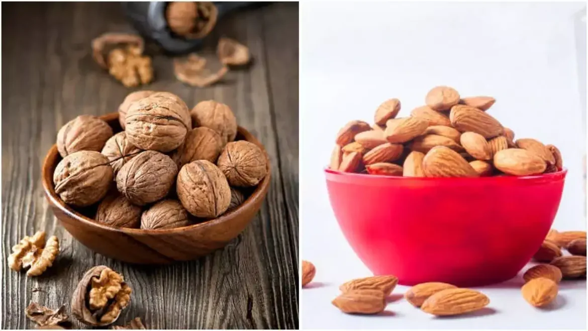 Brain Health Tips: ब्रेन हेल्थ के लिए भीगे हुए बादाम या भीगे हुए अखरोट क्या बेहतर हैं?