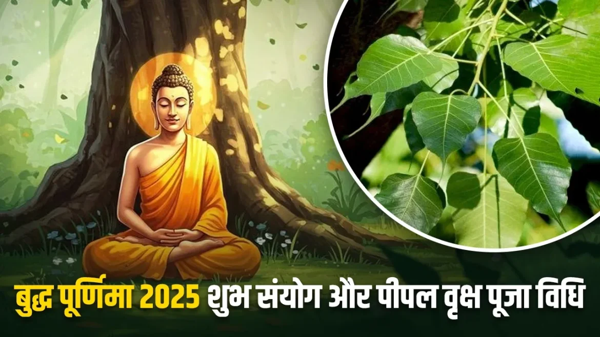 Vaishakh Purnima 2025: बुद्ध पूर्णिमा पर पीपल के पेड़ की पूजा क्यों की जाती है? जानें पूजा की प्रक्रिया और महत्व
