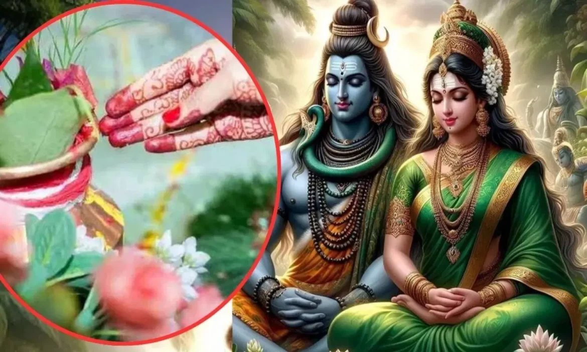 Hariyali Teej 2025 Vrat Niyam: पहली बार रख रहीं हैं हरियाली तीज? नियम और पूजा विधि जानें