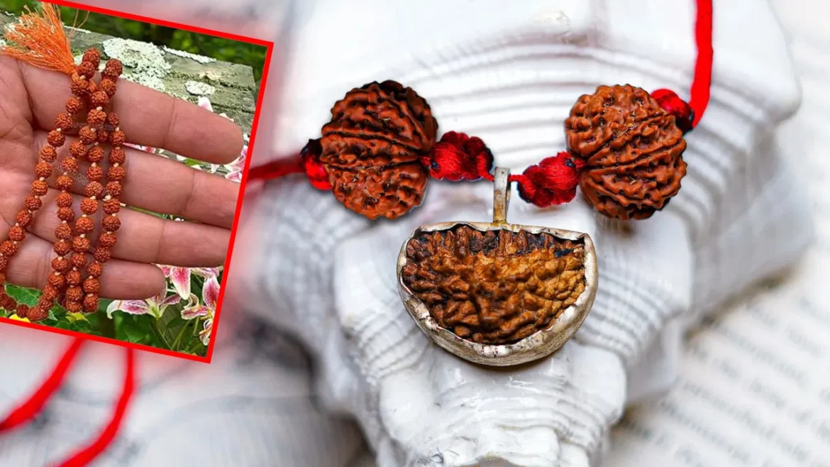 Rudraksha Wearing Rules: रुद्राक्ष पहनते हैं तो इन गलतियों से रहें सावधान, वरना हो सकता है बड़ा नुकसान!