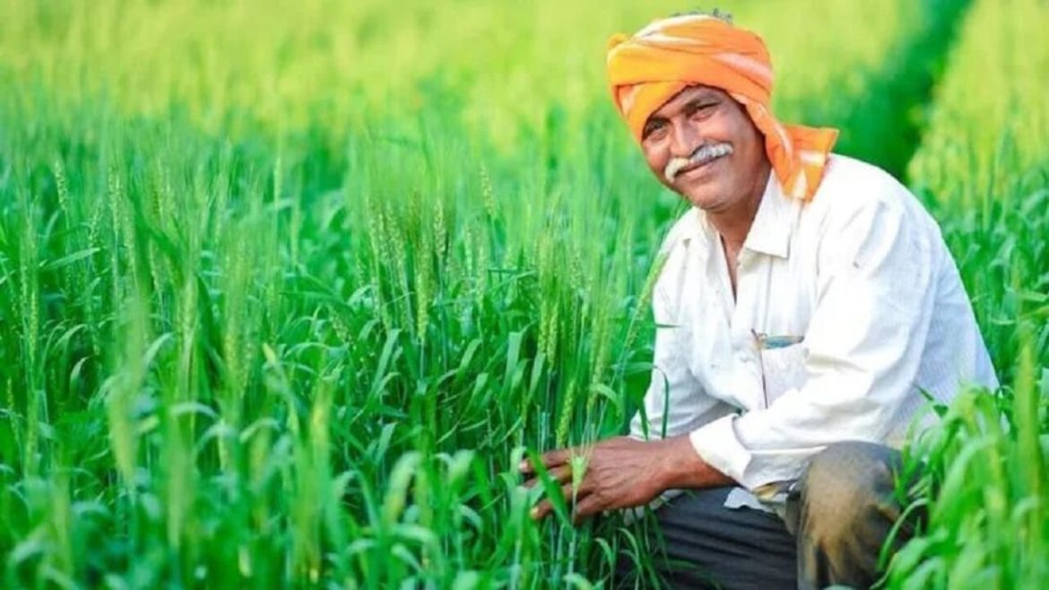 हरियाणा के किसानों को राहत: रबी फसल नुकसान पर ₹52.14 करोड़ का मुआवजा जारी, जानिए किन जिलों को मिला सबसे ज्यादा लाभ