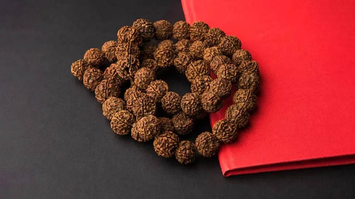 Importance of Rudraksha: रुद्राक्ष की उत्पत्ति, महत्व, प्रकार और पहनने के नियम – जानें कैसे बदल सकता है आपका भाग्य