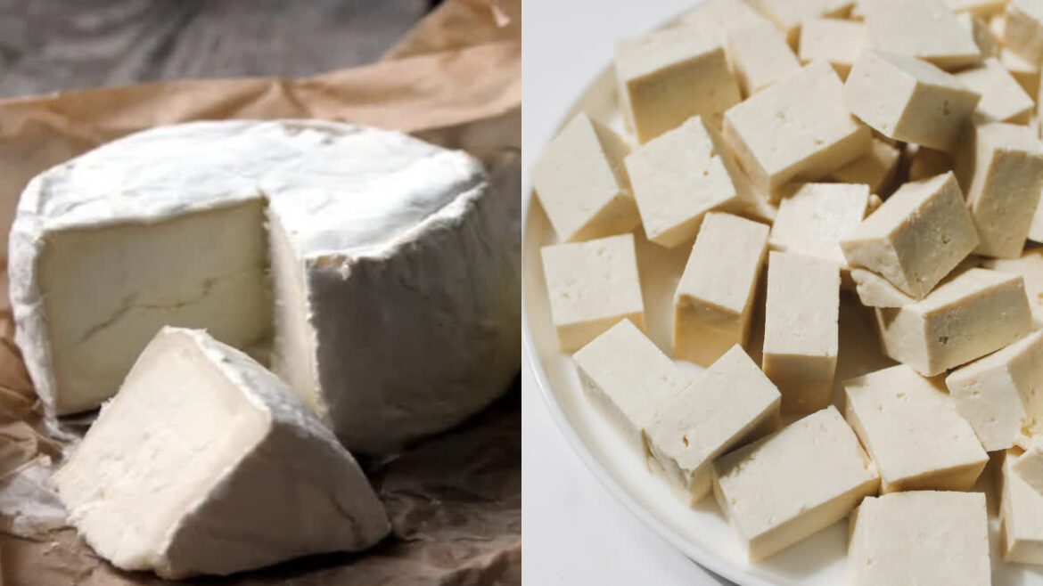 Synthetic Paneer: बाजार में बिकते हैं कितने प्रकार के पनीर? जानें कौन-सा पनीर है सेहत के लिए खतरनाक