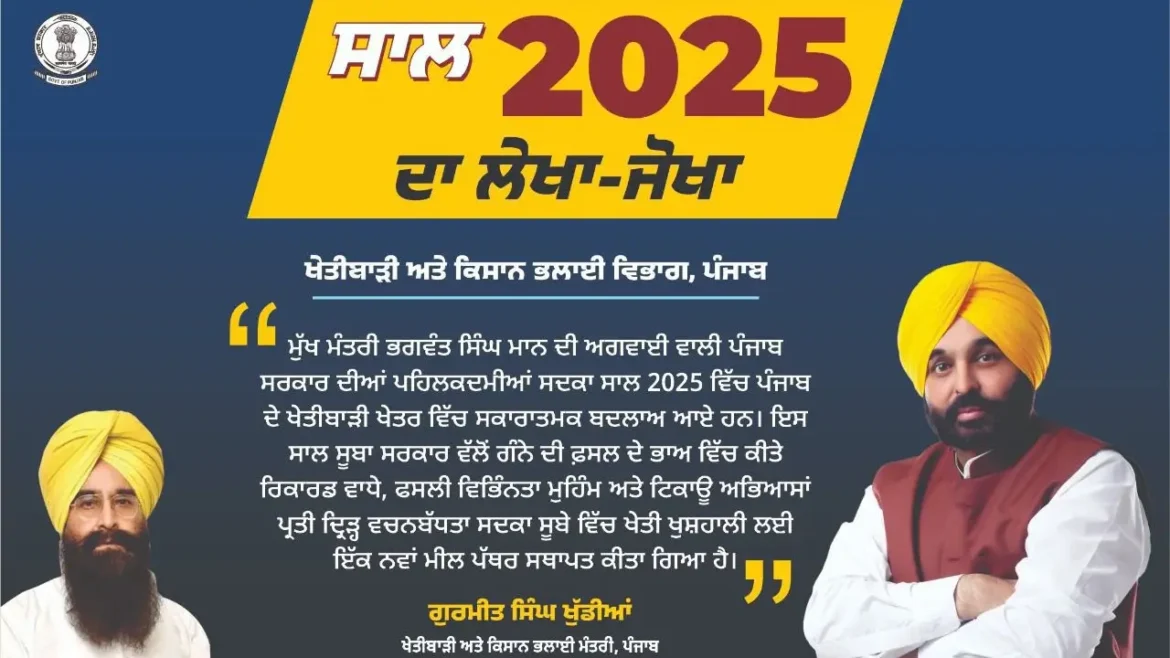 पंजाब में 2025 किसानों के लिए खुशहाली का साल, मान सरकार की नई योजनाओं से खेतों में बदलाव
