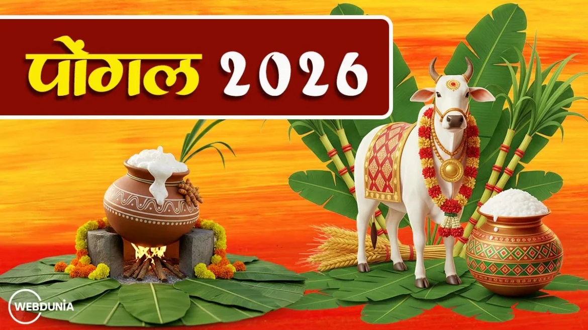 पोंगल 2026: पोंगल कब है, क्यों मनाया जाता है और पूजा विधि