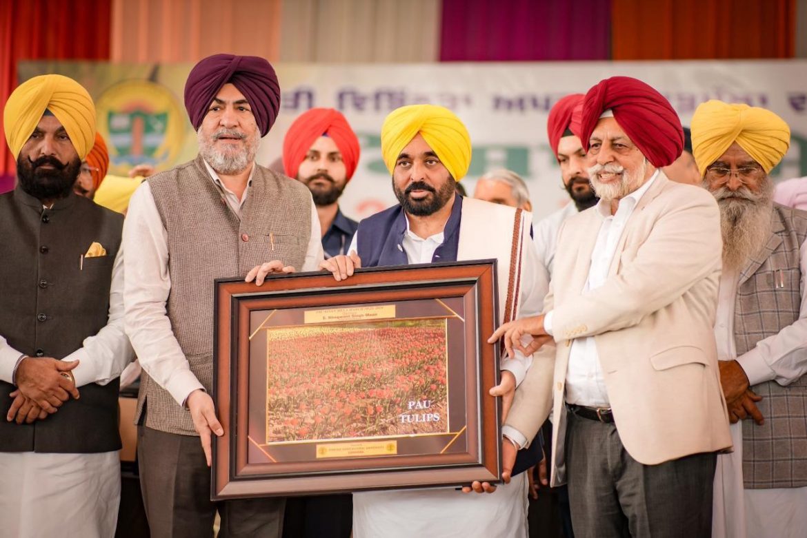 एआई से बदलेगी पंजाब की खेती: मुख्यमंत्री भगवंत सिंह मान बोले - किसानों की आय बढ़ाना अब प्राथमिकता