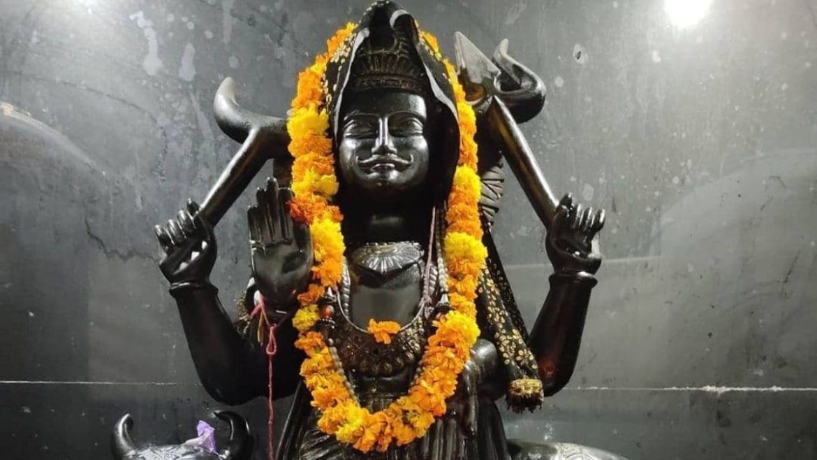 शनि जयंती पर भूलकर भी न करें ये गलतियां, वरना भुगतना पड़ सकता है शनि देव का प्रकोप