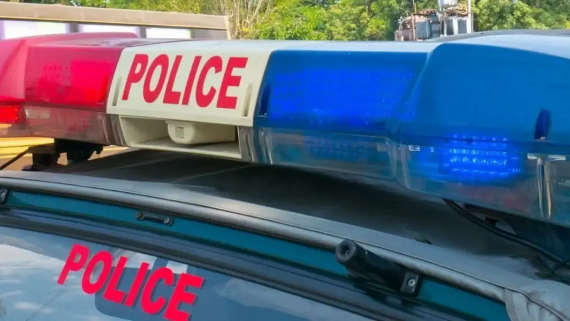 अपराध सुलझाने से लेकर अपराधियों पर नज़र रखने तक — पंजाब पुलिस के लिए आधुनिक हथियार बना 'इंटीग्रेटेड कमांड एंड कंट्रोल सेंटर' (ICCC)* 