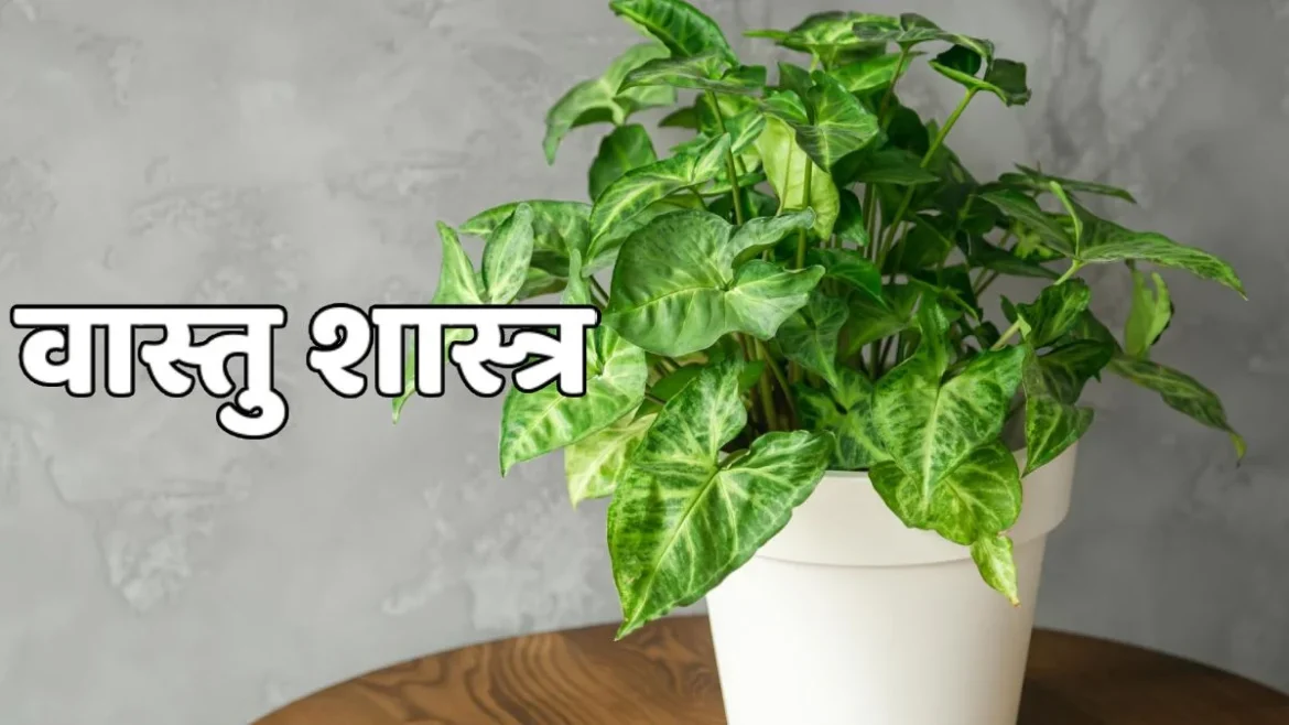 नौतपा में घर लाएं खुशहाली: ये 5 जादुई पौधे बदल देंगे आपके घर की ऊर्जा और आर्थिक स्थिति