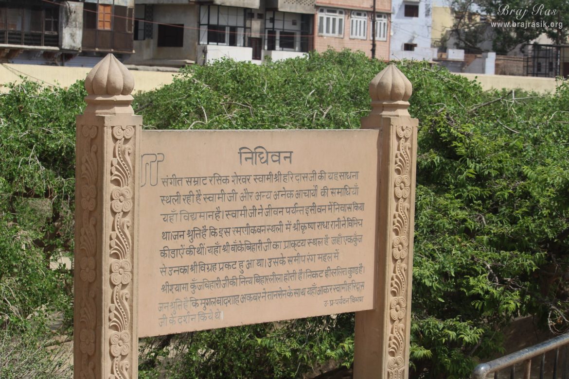 निधिवन रहस्य: क्या आज भी हर रात वृंदावन में रास रचाते हैं श्रीकृष्ण? जानिए इस जगह के अनोखे सच