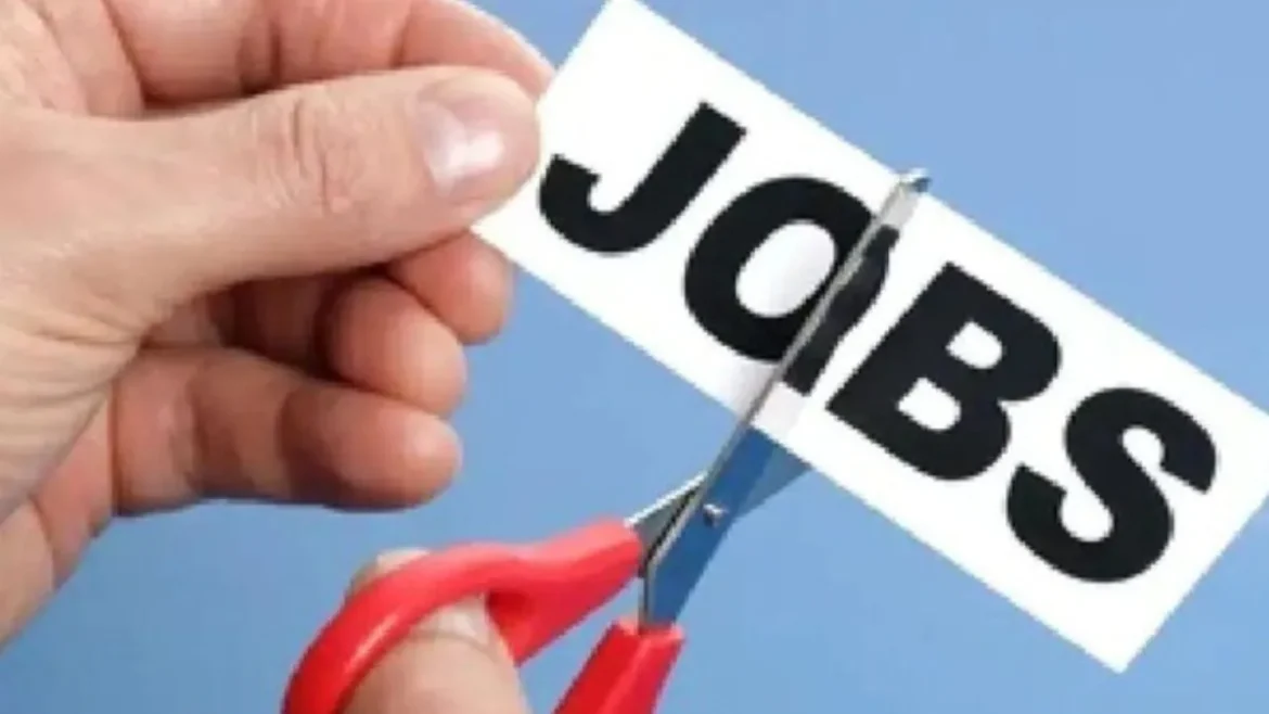 Visa Layoffs 2026: Visa में 2,600 कर्मचारियों की छंटनी, भारत की टेक और प्रोडक्ट टीम पर भी असर