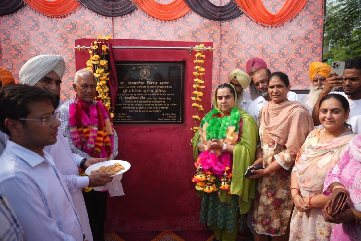 Punjab News: तलवंडी साबो के बाघा और जीवन सिंह वाला में नहर जल परियोजनाओं का उद्घाटन, सैकड़ों किसानों को मिलेगा लाभ