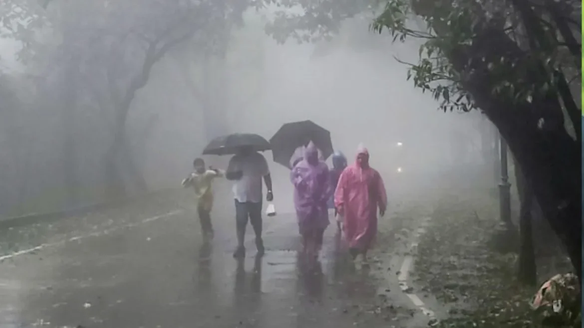 Weather Update Today: 1 अगस्त को गुजरात में रेड अलर्ट, हिमाचल-महाराष्ट्र समेत इन राज्यों में भारी बारिश की चेतावनी