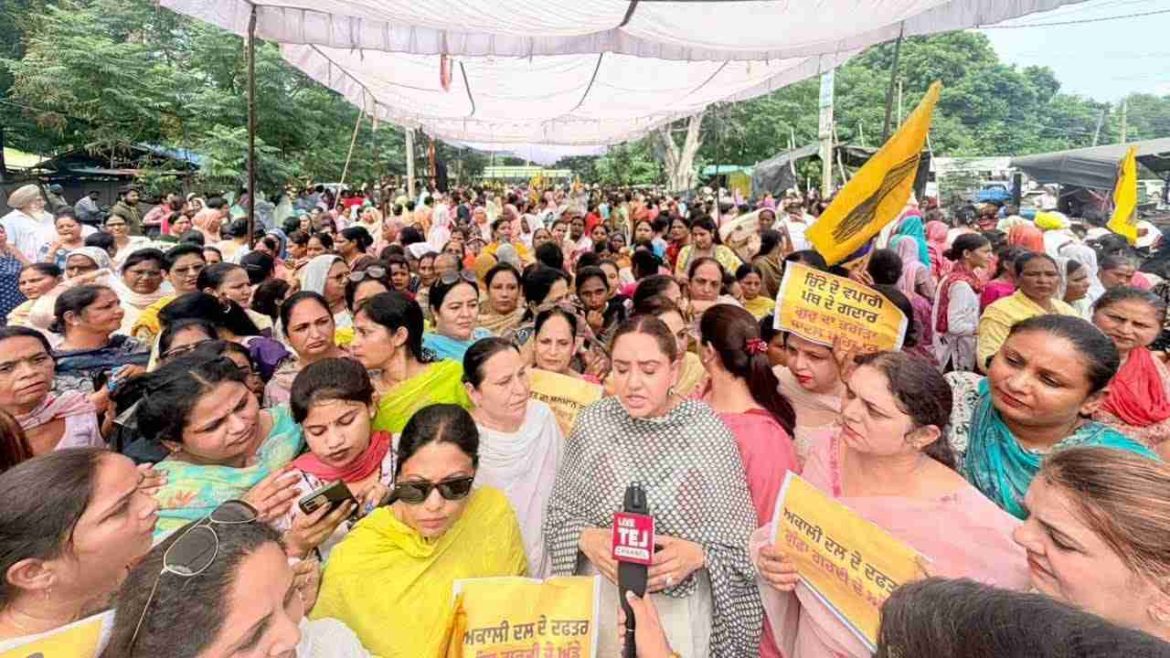 अकाली दल के कार्यालय में बुजुर्ग दलित महिला के साथ मारपीट के खिलाफ आप महिला विंग ने समराला में किया जोरदार विरोध प्रदर्शन