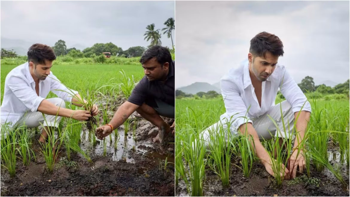 खेतों में उतरे वरुण धवन, धान की रोपाई और फावड़ा चलाते आए नजर, वायरल हुईं तस्वीरें