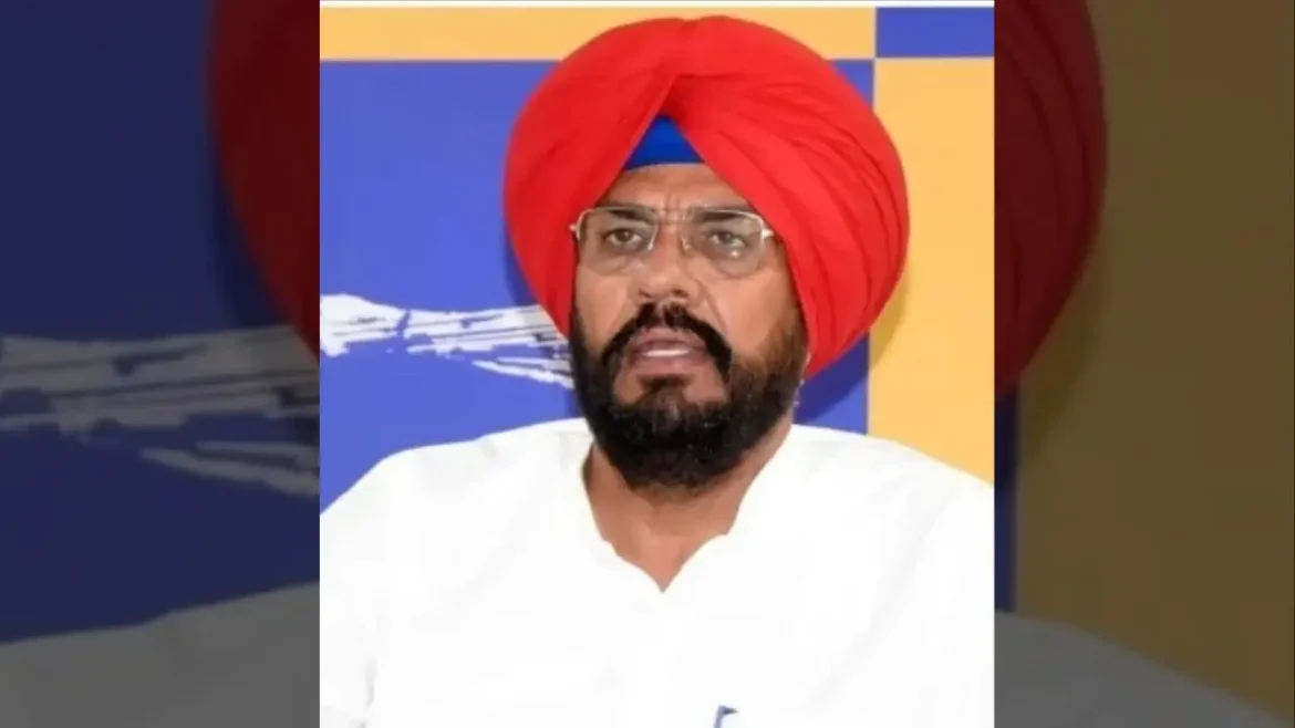 पंजाब में भाजपा का कोई जनाधार नहीं है, ईडी को राजनीतिक हथियार की तरह इस्तेमाल किया जा रहा है: कुलदीप धालीवाल