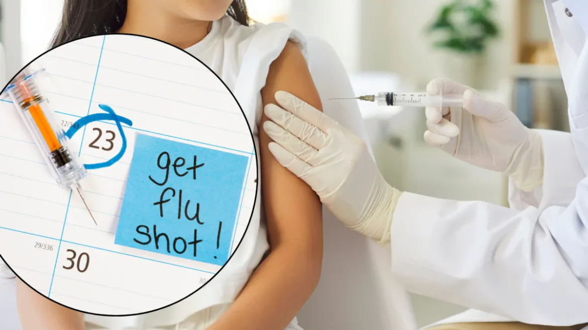 Flu Vaccine: भारत में बढ़ रहे H1N1 मामलों के बीच जानें फ्लू शॉट लेने का सही समय