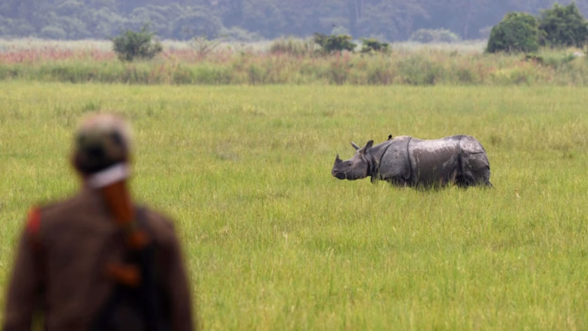 Kaziranga National Park: 3 अक्टूबर से फिर खुला काजीरंगा, शुरू हुई Jeep Safari; जल्द लौटेगी Elephant Safari