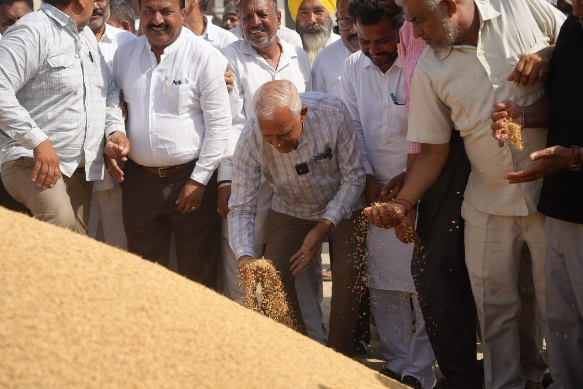 Paddy Procurement: मंत्री बैरिंदर गोयल ने खनौरी अनाज मंडी का किया दौरा, बोले- धान का एक-एक दाना खरीदेगी मान सरकार