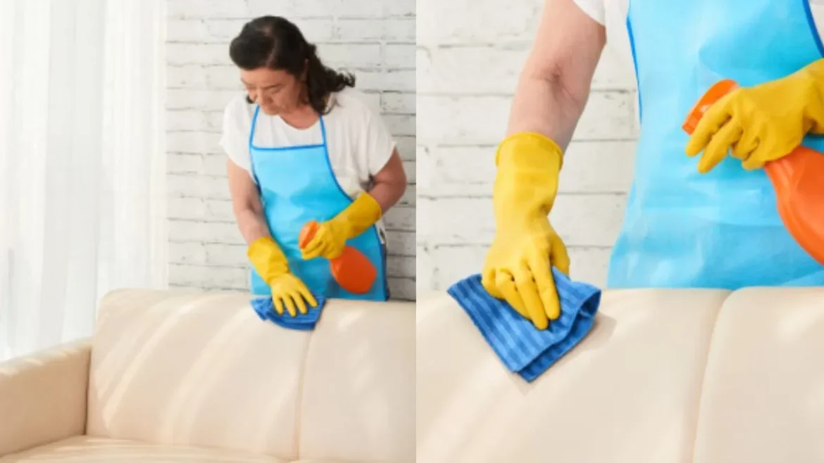 Sofa Cleaning Tips: बिना ड्राई क्लीनिंग खर्च के ऐसे चमकाएं सोफा, दाग और बदबू होगी दूर